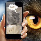 Vision pets simülatörü simgesi