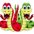 Double Snake
