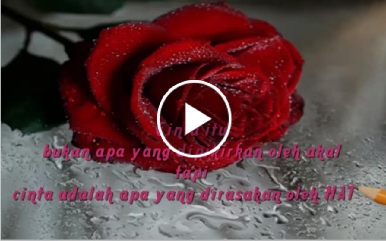 Download Video Kata Kata Cinta Sedih Buat Pacar Ooo Katakan Cintamu