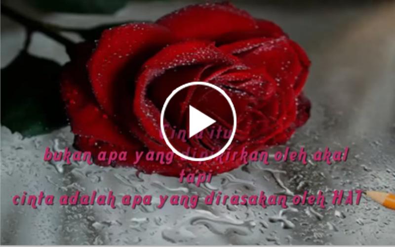 Video Kata Kata Cinta Untuk Pacar Romantiss Für Android