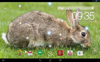 Fluffy Bunny Live Wallpaper imagem de tela 2