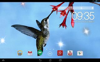 Hummingbird Colibri Live WP screenshot 3