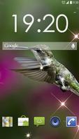 Hummingbird Colibri Live WP Affiche