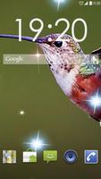 1 Schermata Hummingbird Colibri Live WP