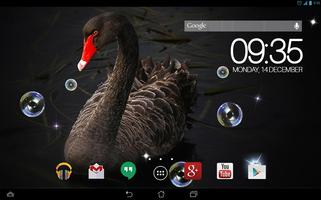 Beautiful Swan  Live Wallpaper Ekran Görüntüsü 2