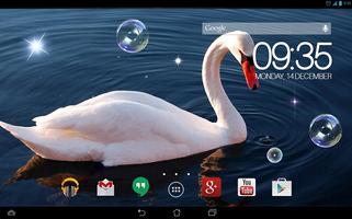 Beautiful Swan  Live Wallpaper Ekran Görüntüsü 3