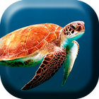 Underwater Turtles Live WP icône