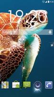 Underwater Turtles Live WP ポスター