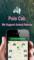 Polo Cab Palm Beach County poster