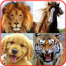 Animal Sound APK
