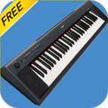 Electronic Organ