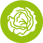 Lettuce Advisor icon