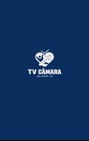 TV Câmara Rio Verde BETA الملصق
