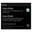 Voice Command