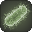 VirusWar APK