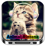 Animal Funny Ringtone icône
