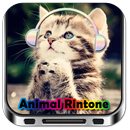 Animal Funny Ringtone APK