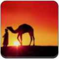 Arabic Ringtones Berkah
