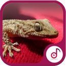 Ringtone Suara Tokek Lucu APK