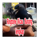 NEW Ringtones Kicau Burung Indonesia Lengkap APK