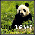 Panda ringtones