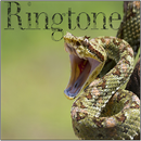 Snake ringtones APK