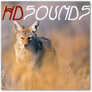 Coyote Sounds APK