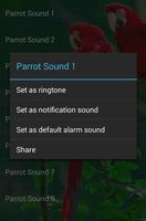 sons papagaio imagem de tela 2