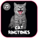 Cat Sound Ringtones APK