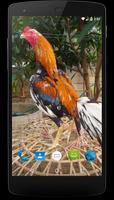 Gamecock Wallpapers 포스터