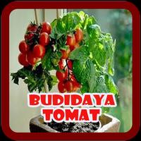 Cara Budidaya Tomat Affiche