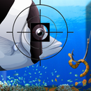 Kill The Fish APK