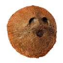 Takla POP APK
