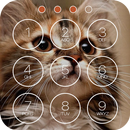 Cute Kitten Lock Screen aplikacja