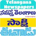 All Telangana Newspapers