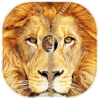 Lion Ziper Lock Screen icône