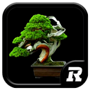 Design Bonsai Ideas APK