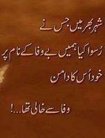 Urdu Poetry ภาพหน้าจอ 1