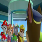 Video Collection New Paw-Patrol icon