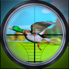 Duck Hunting 3D : Hunter Games APK