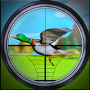 Duck Hunting 3D : Hunter Games APK
