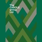 The Carole Group icône