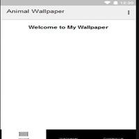 Animal Wallpaper poster