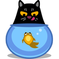 Fish Catcher