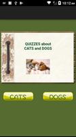 Quiz Cats And Dogs plakat