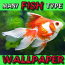 Fish Wallpaper APK