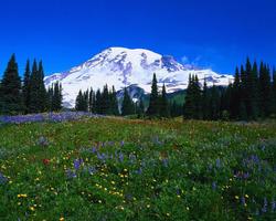 Mountains Jigsaw Puzzles ภาพหน้าจอ 3