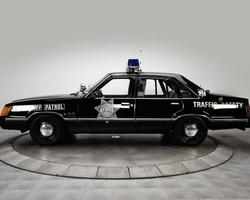 سيارة شرطة اللغز تصوير الشاشة 3