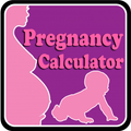 Pregnancy Calculator