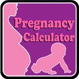Pregnancy Calculator